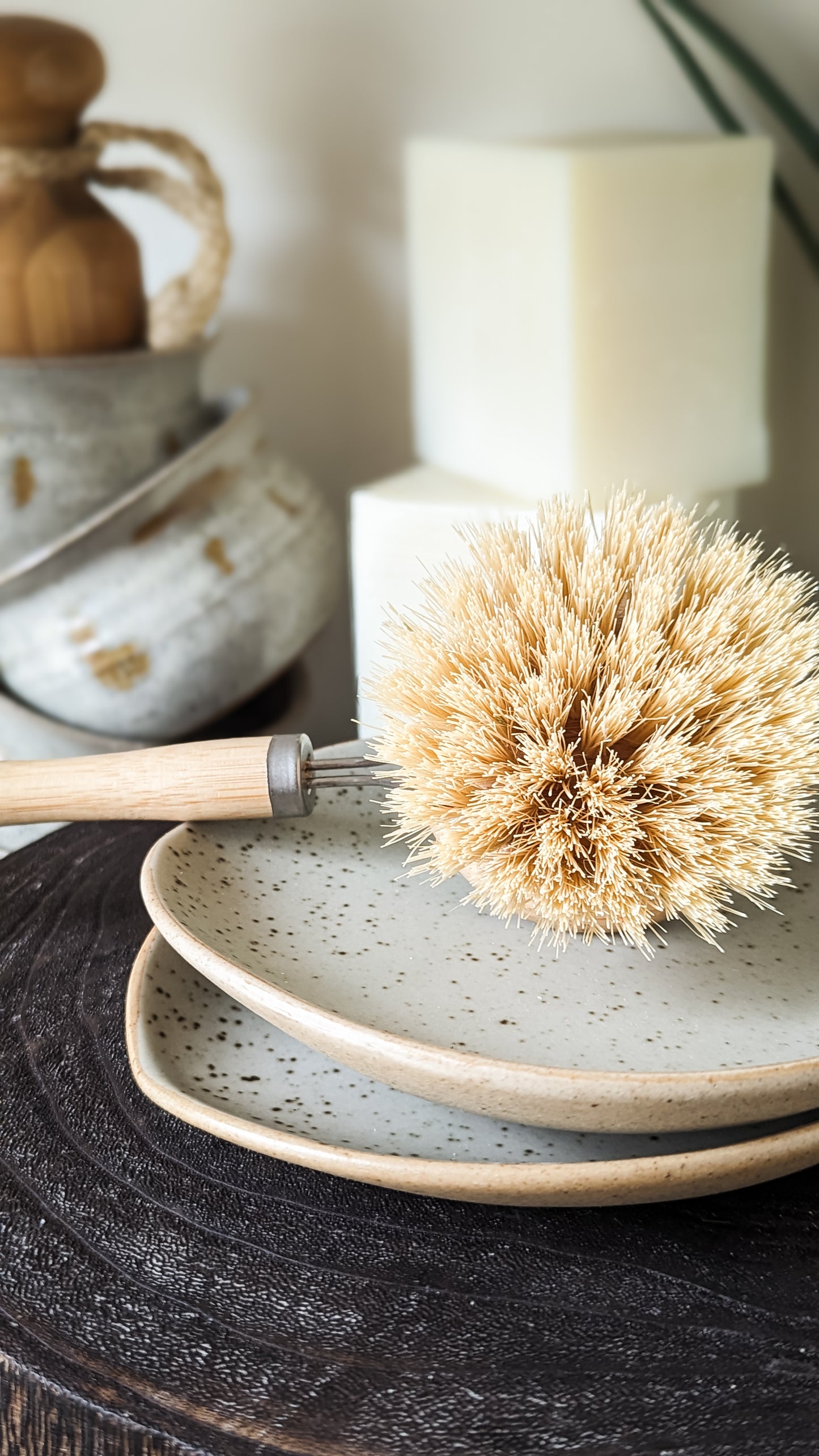 Long Handle Dish Brush