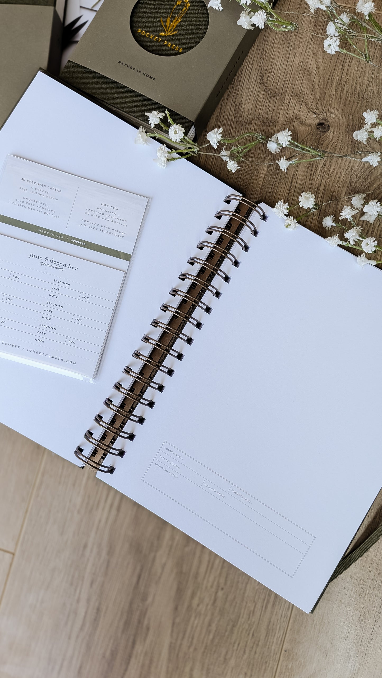 Fern Herbarium Journal • Forest Green