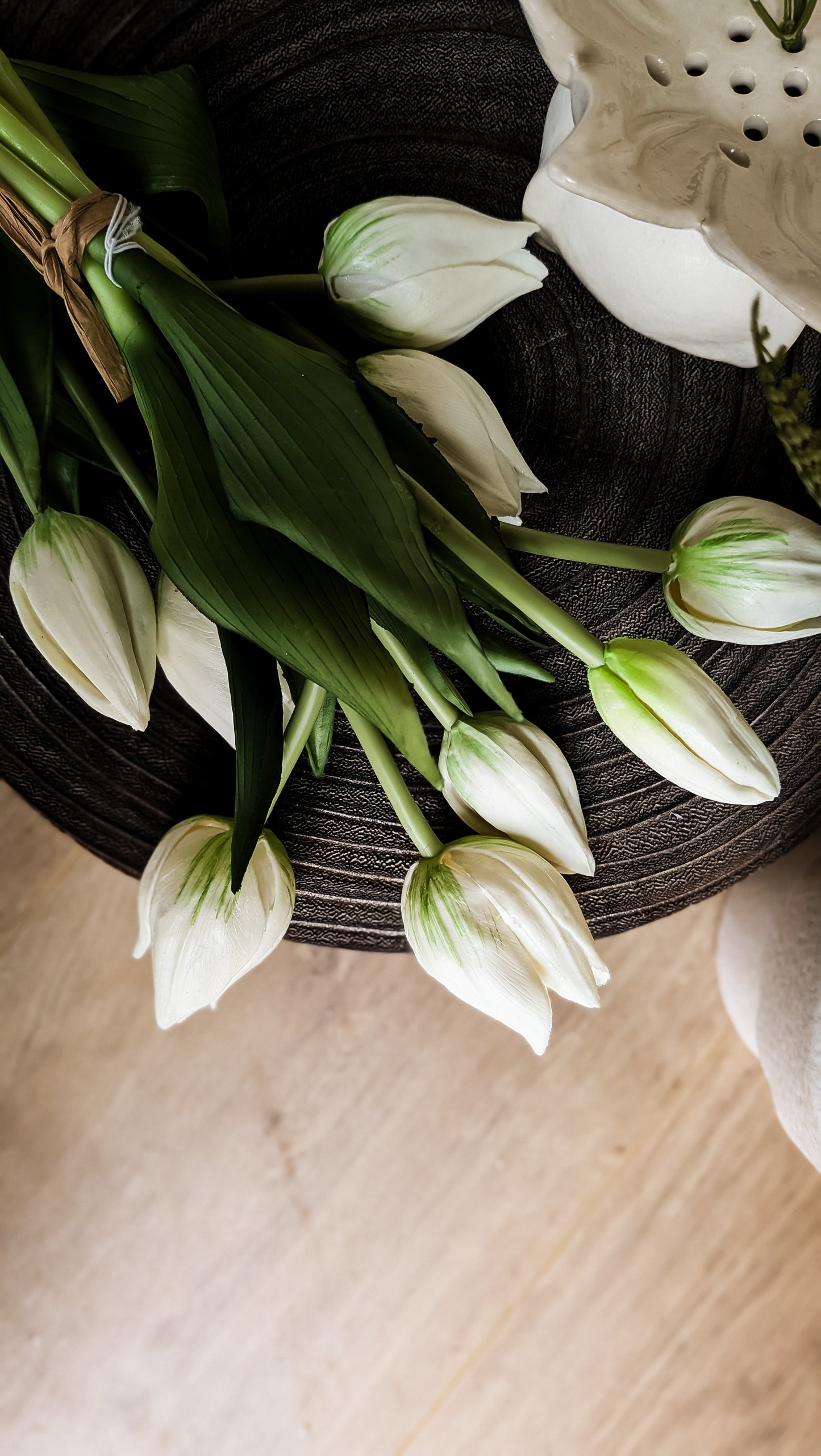 Mini Wild Tulip Bundle