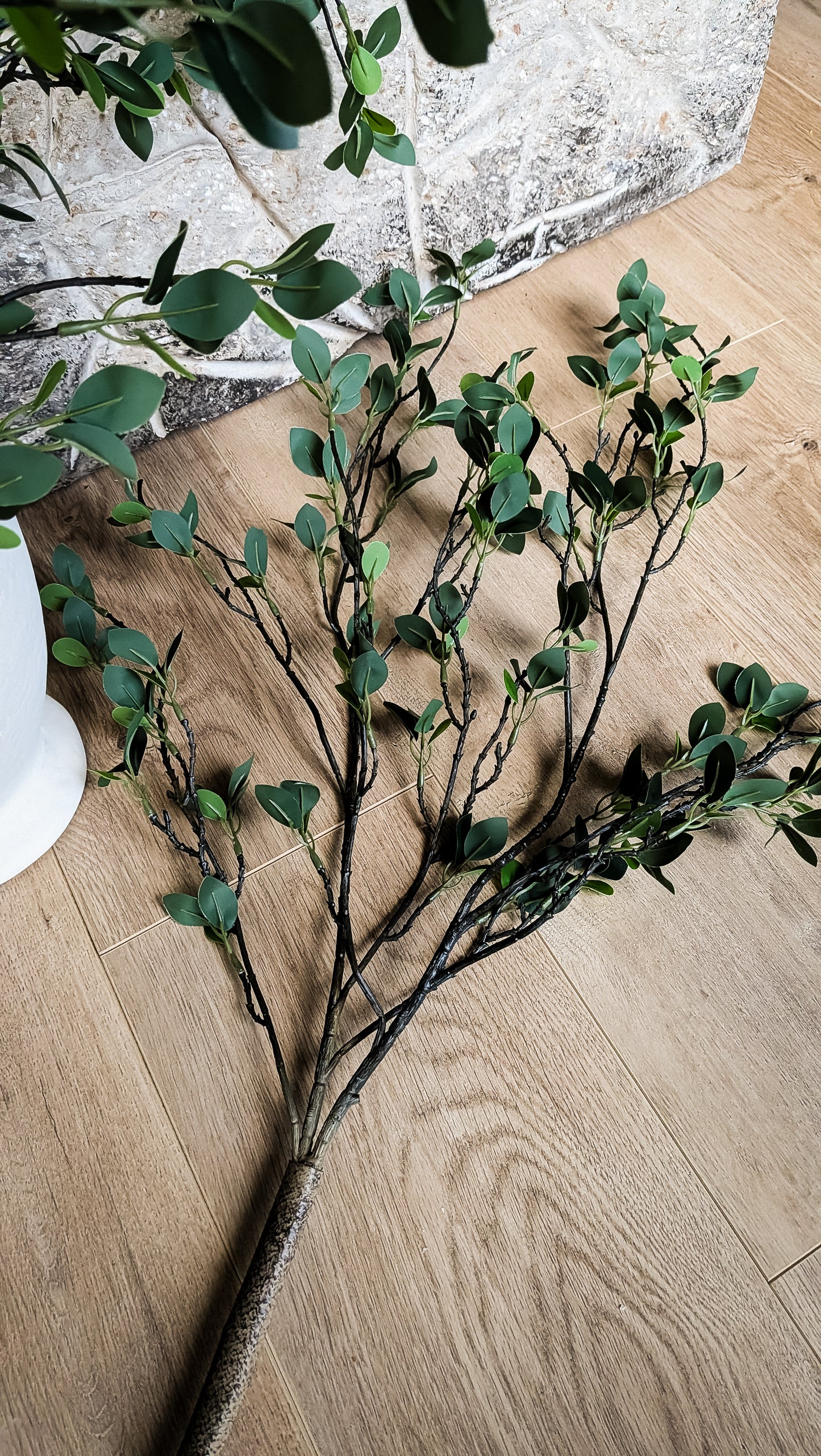 Fresh Cut Branch