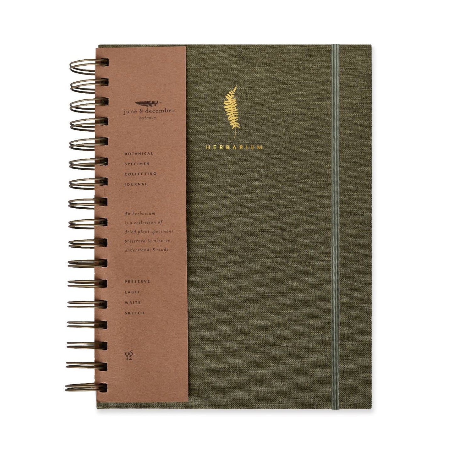 Fern Herbarium Journal • Forest Green
