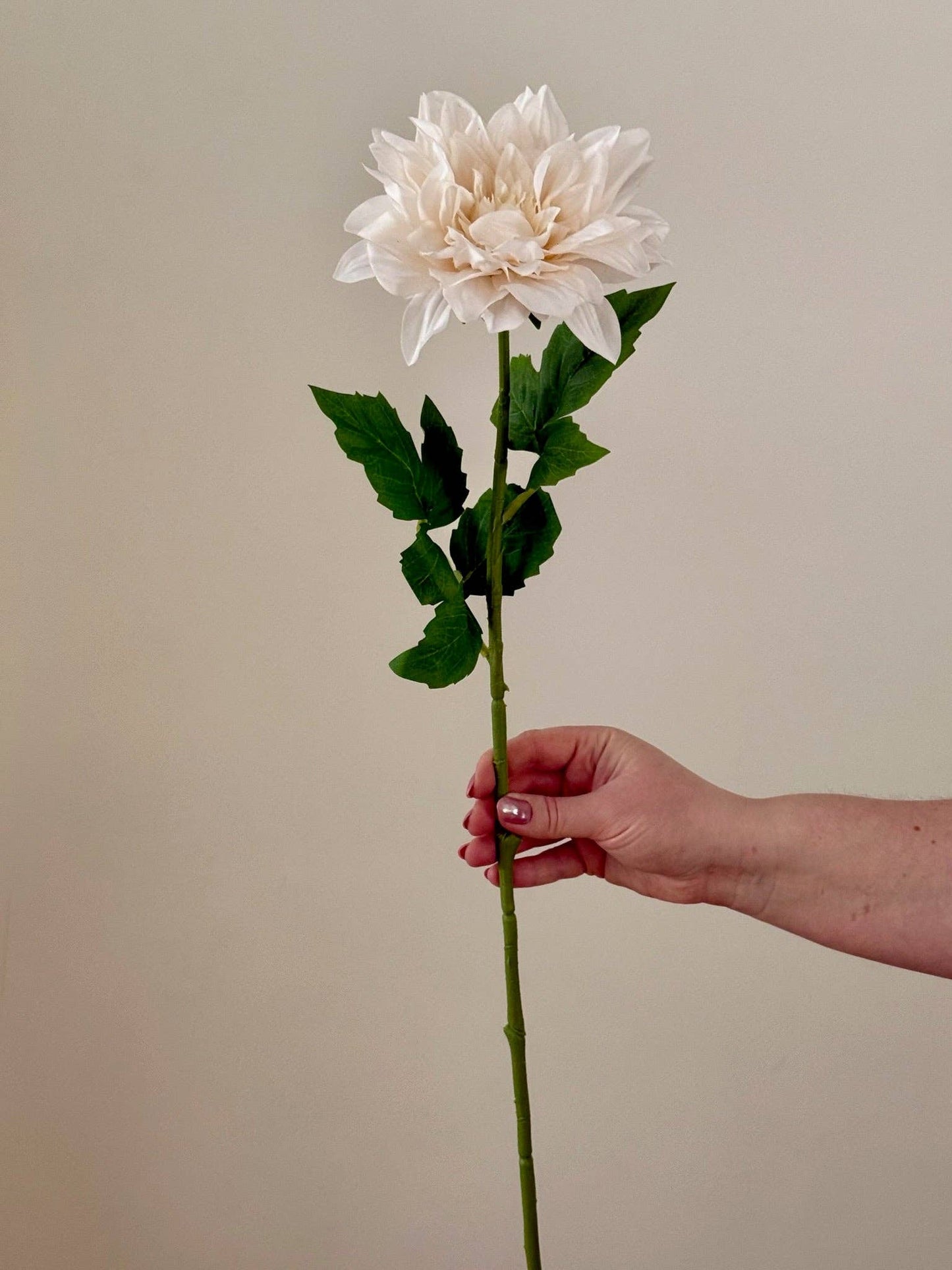 Real Touch Dahlia: Ivory