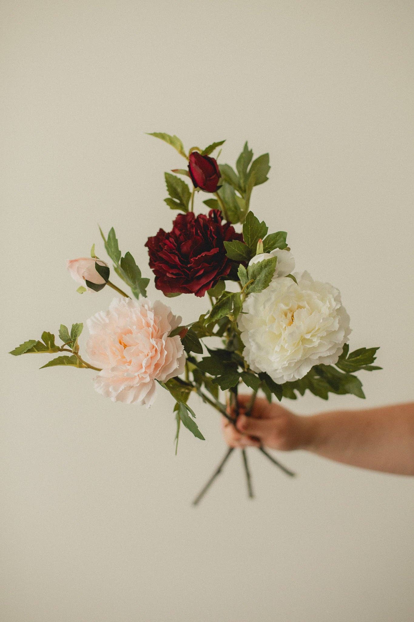 Mountain Peony: White