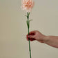 Real Touch Carnation: Winthrop Peach