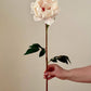 Real Touch Large Peony: Cream Pink