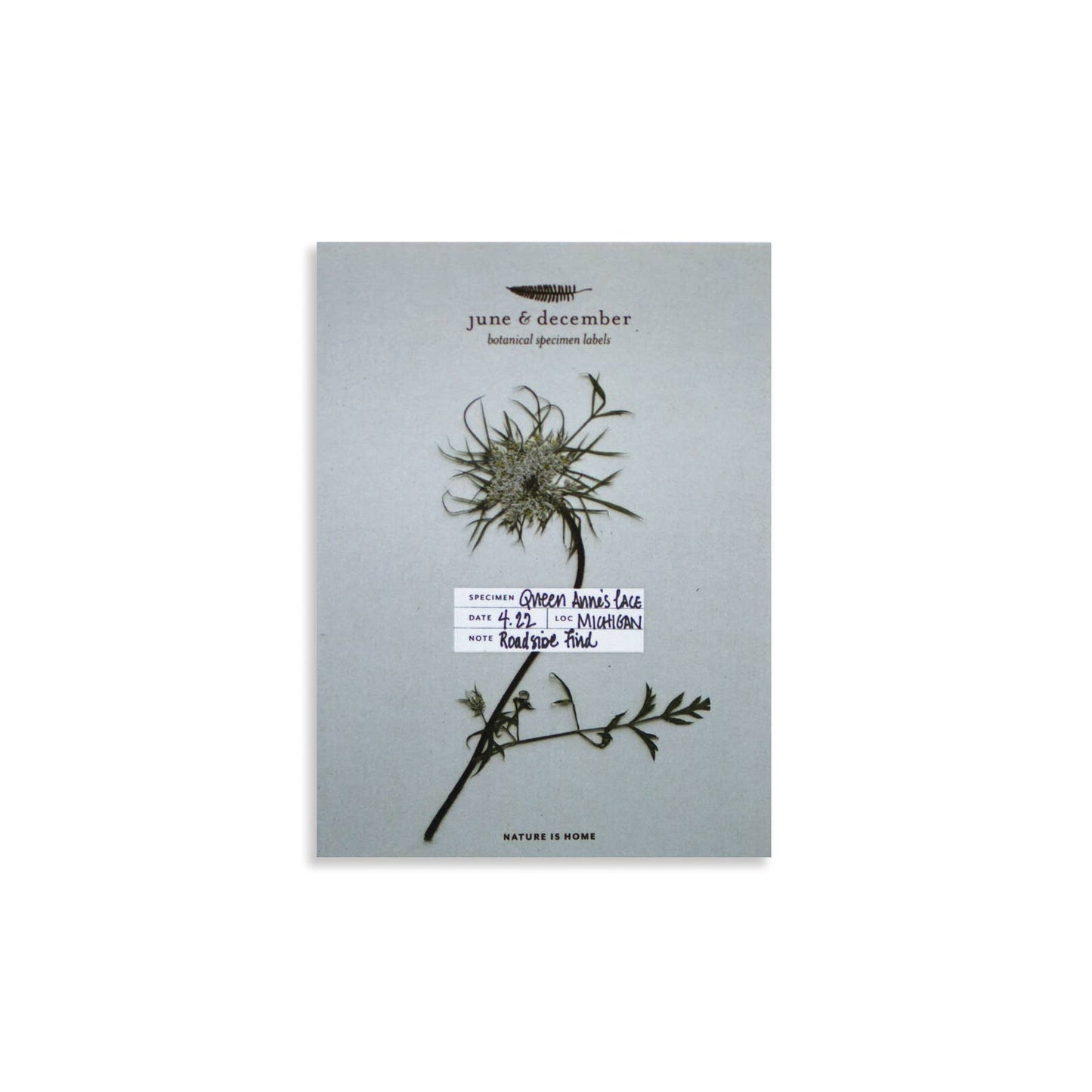 Botanical Specimen Labels