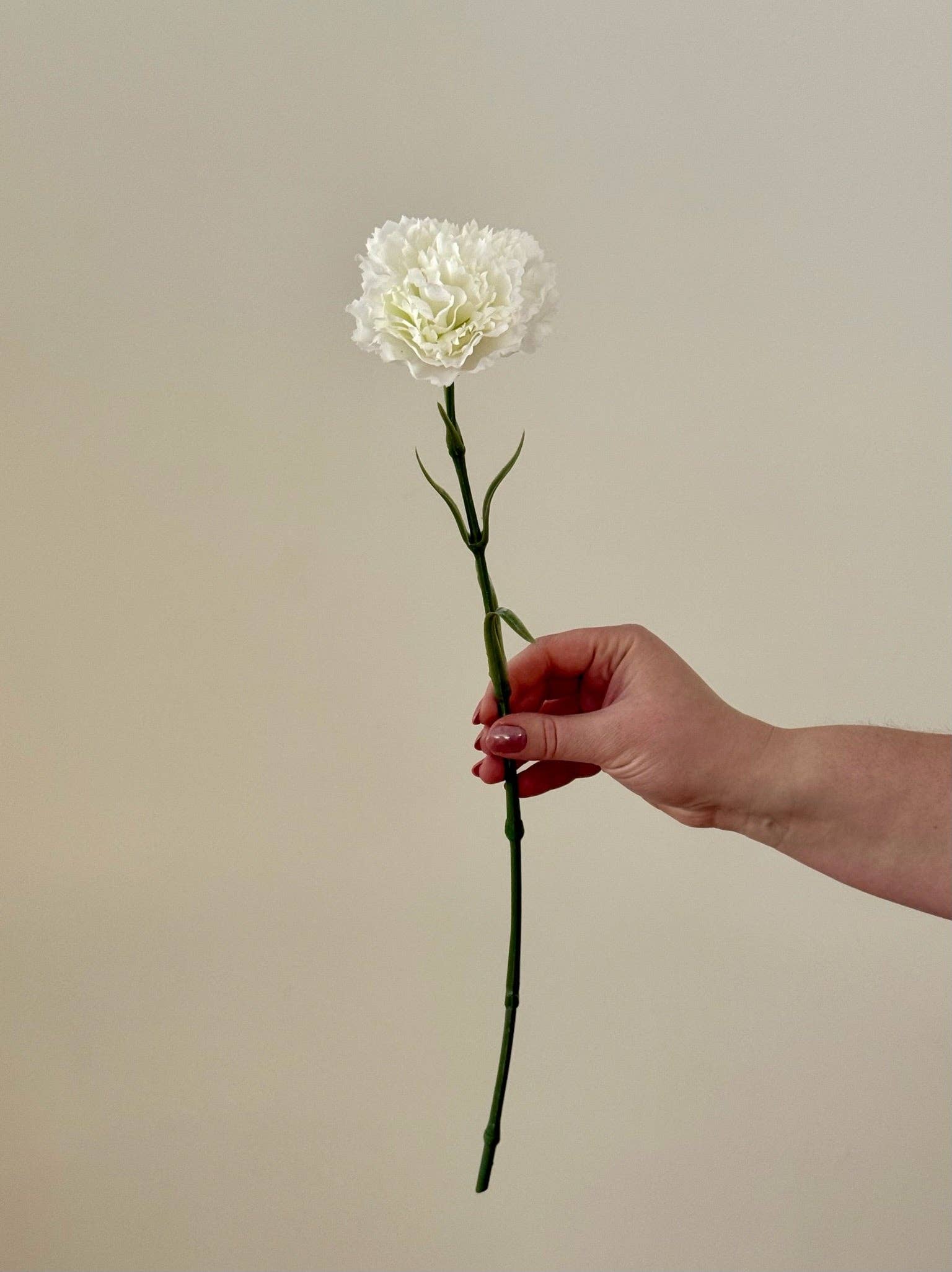 Real Touch Carnation: Ivory – Farmoire