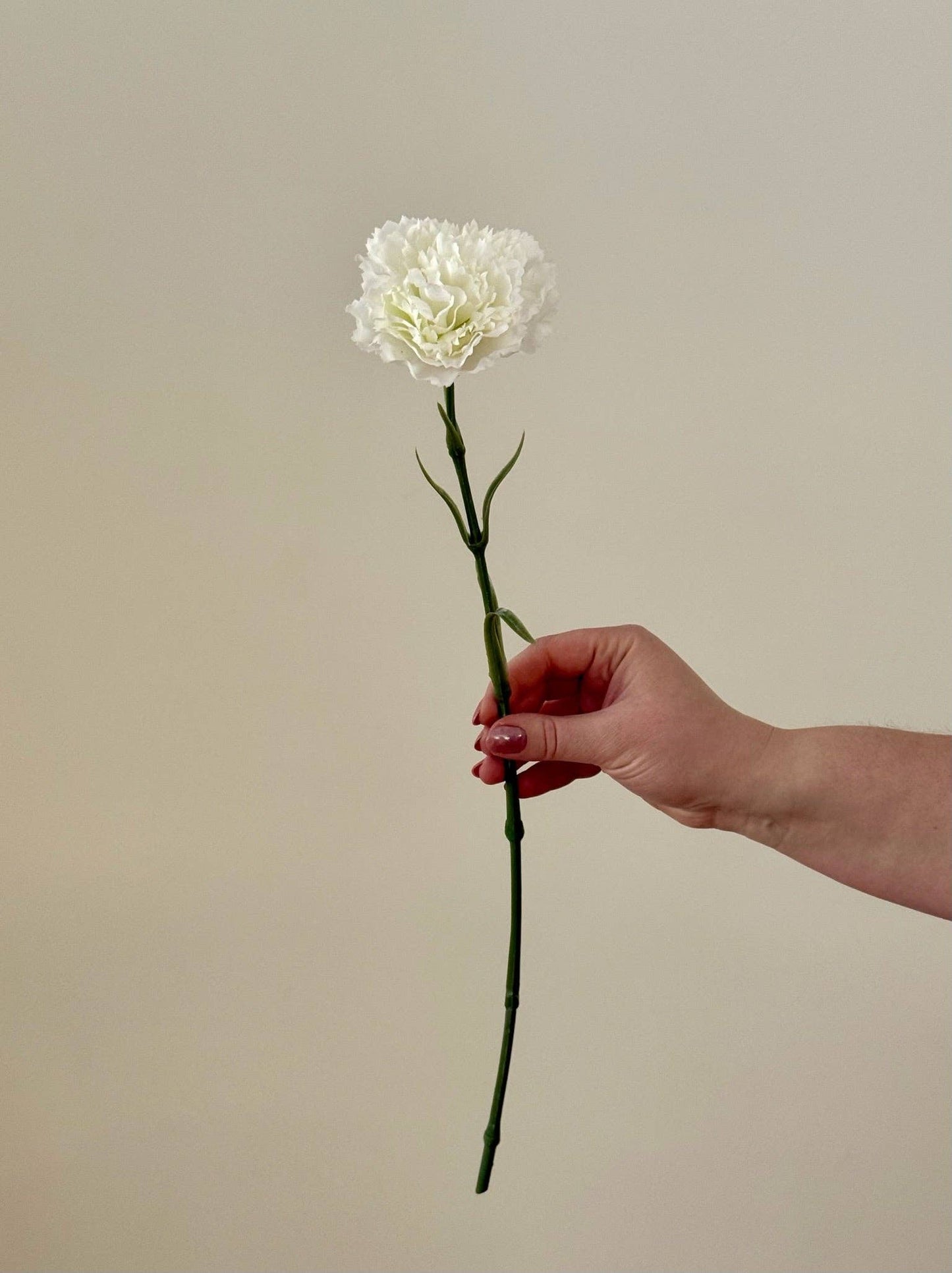 Real Touch Carnation: Ivory