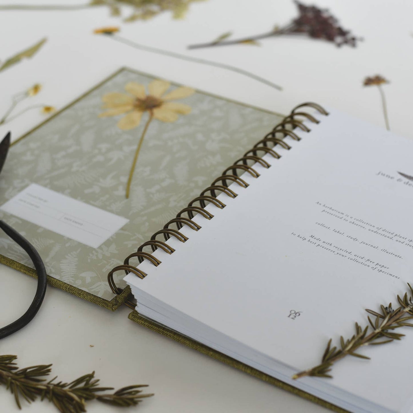 Fern Herbarium Journal • Forest Green