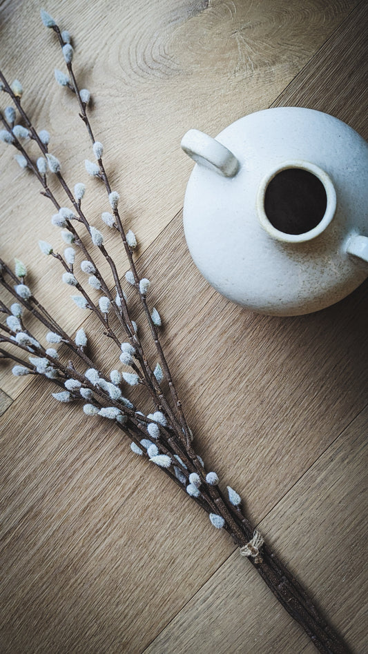 Pussy Willow Stem, Tall
