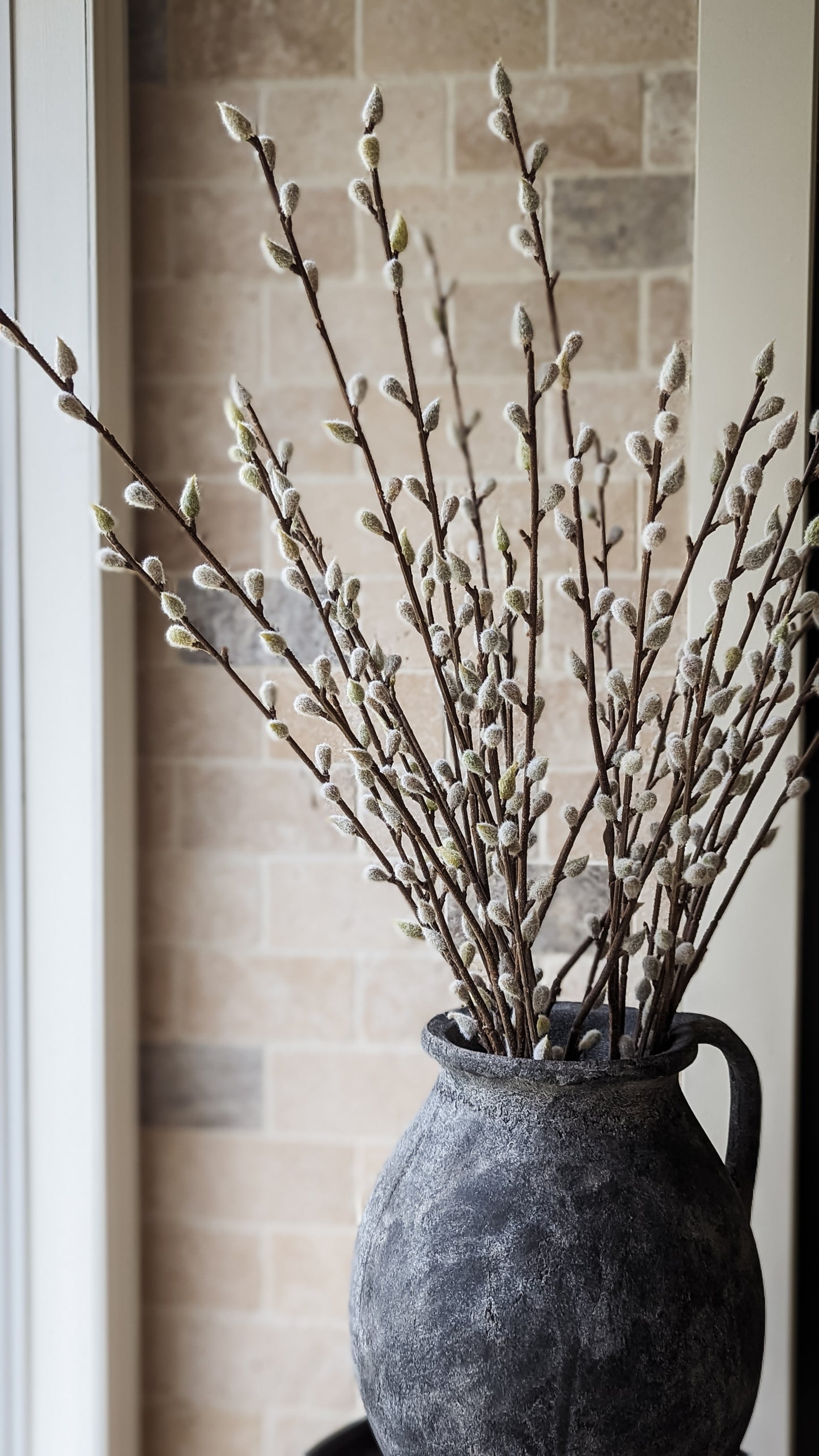 Pussy Willow Stem, Tall