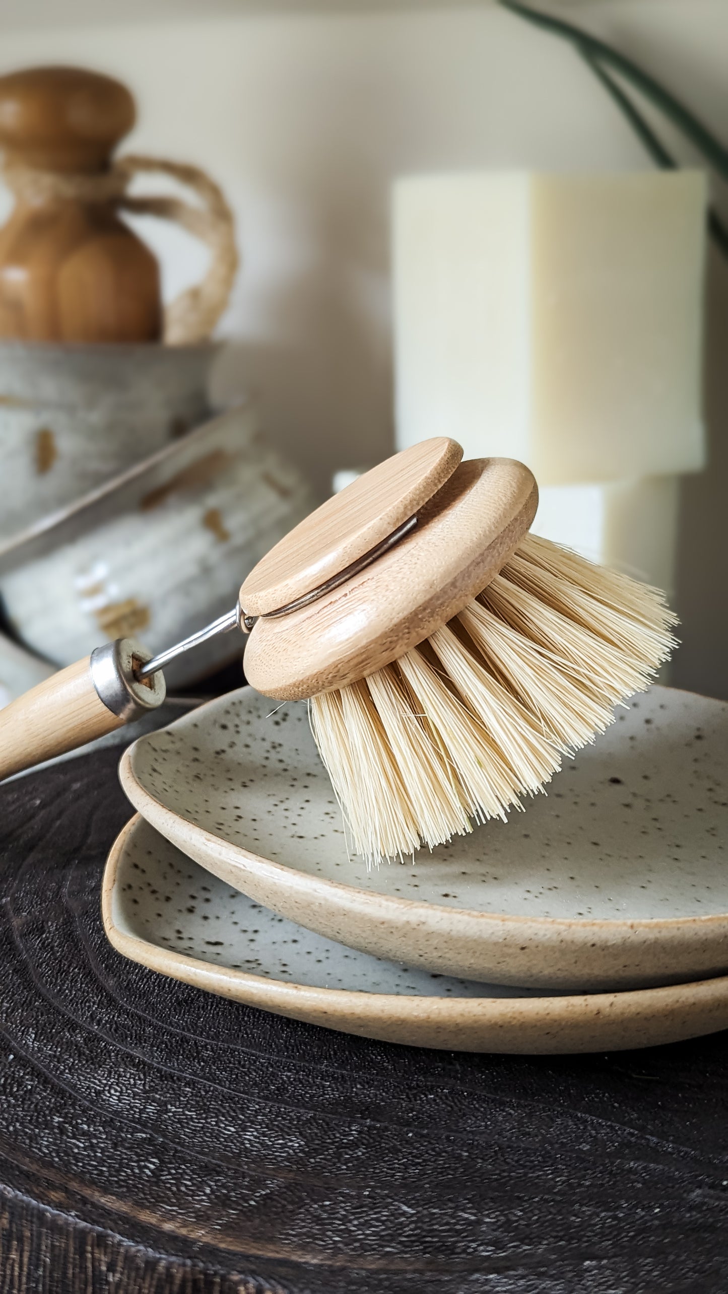 Long Handle Dish Brush