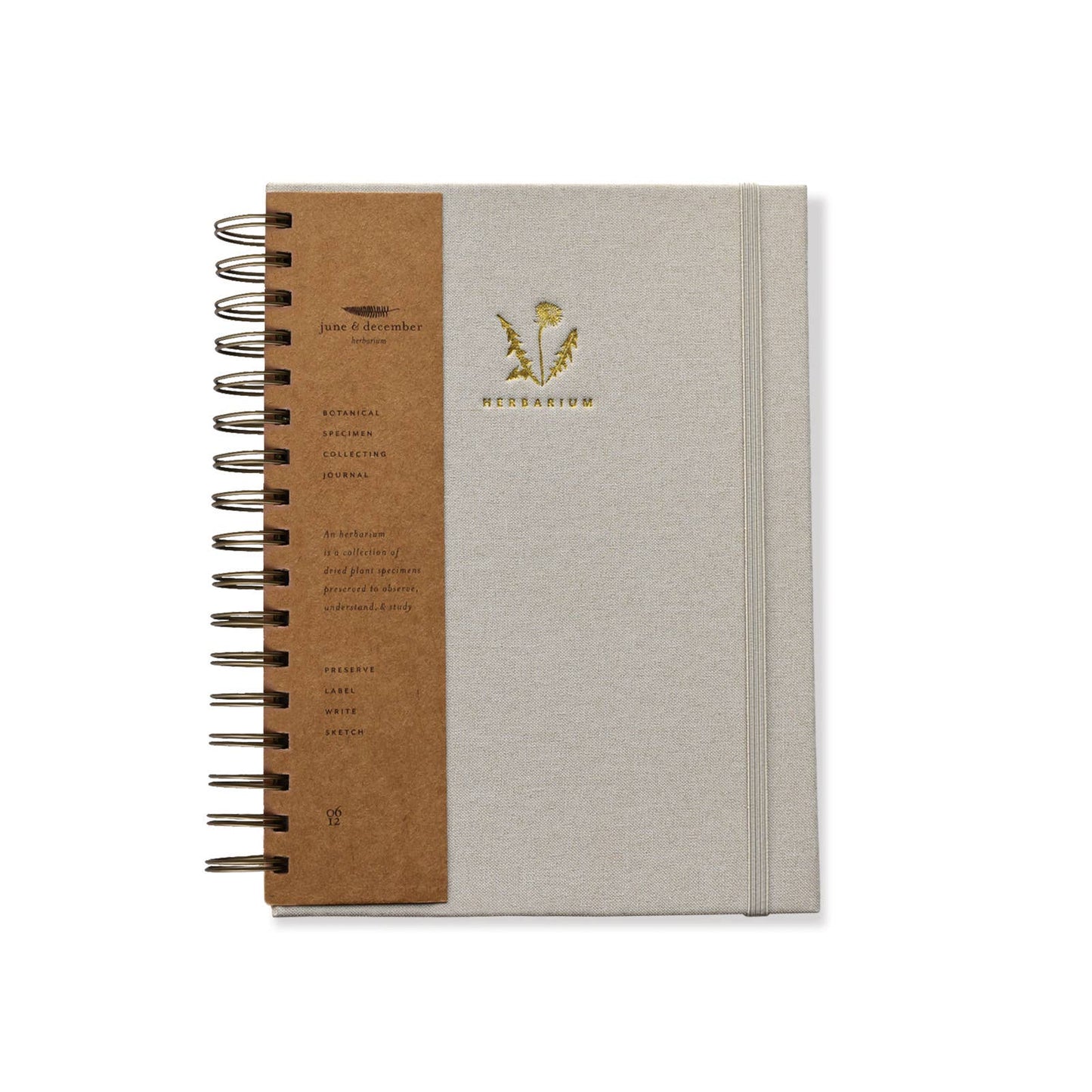 Dandelion Herbarium Journal • Mushroom Cream