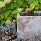 The Cornerstone Water Trough *Pre-Order*