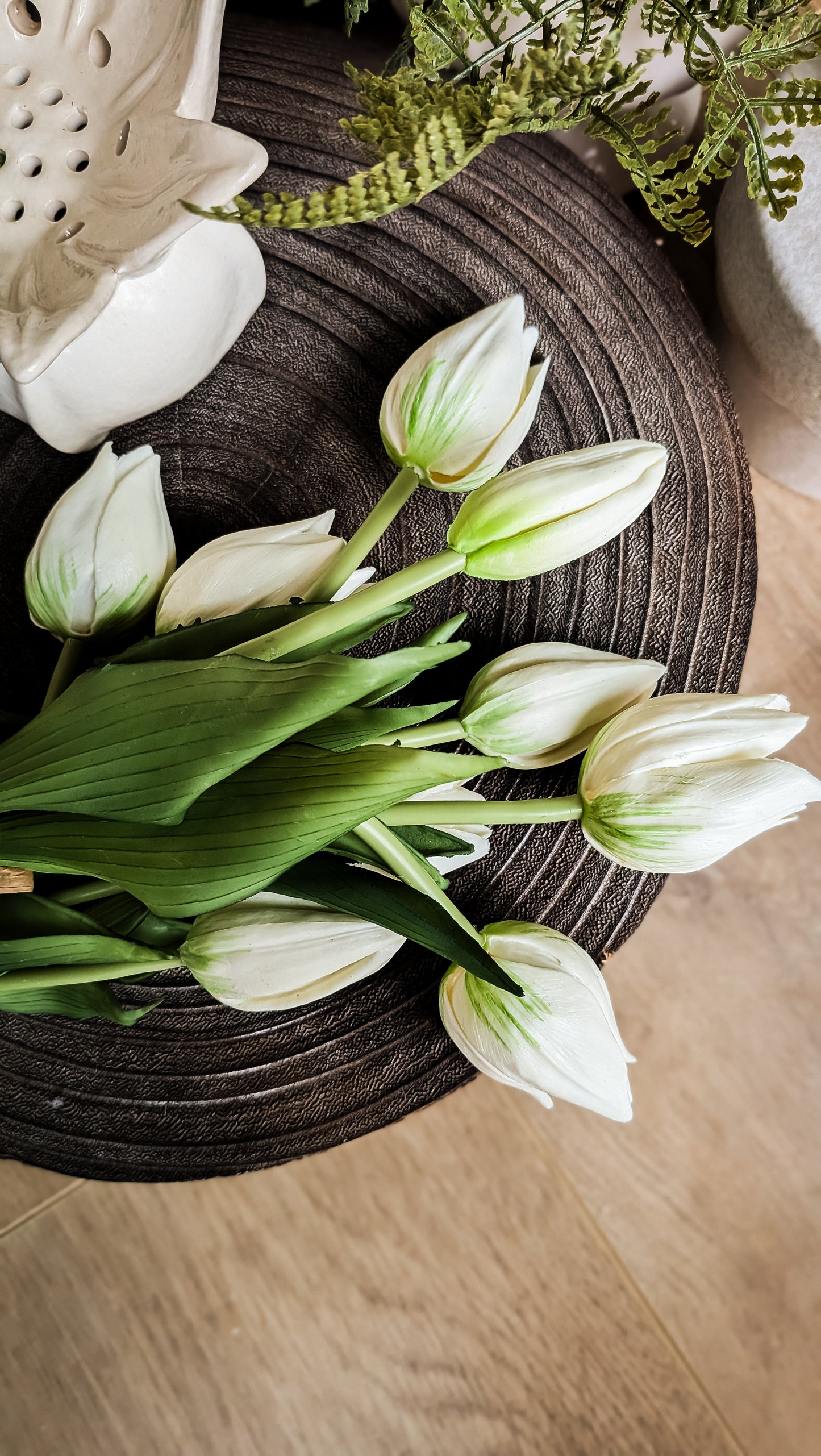 Mini Wild Tulip Bundle