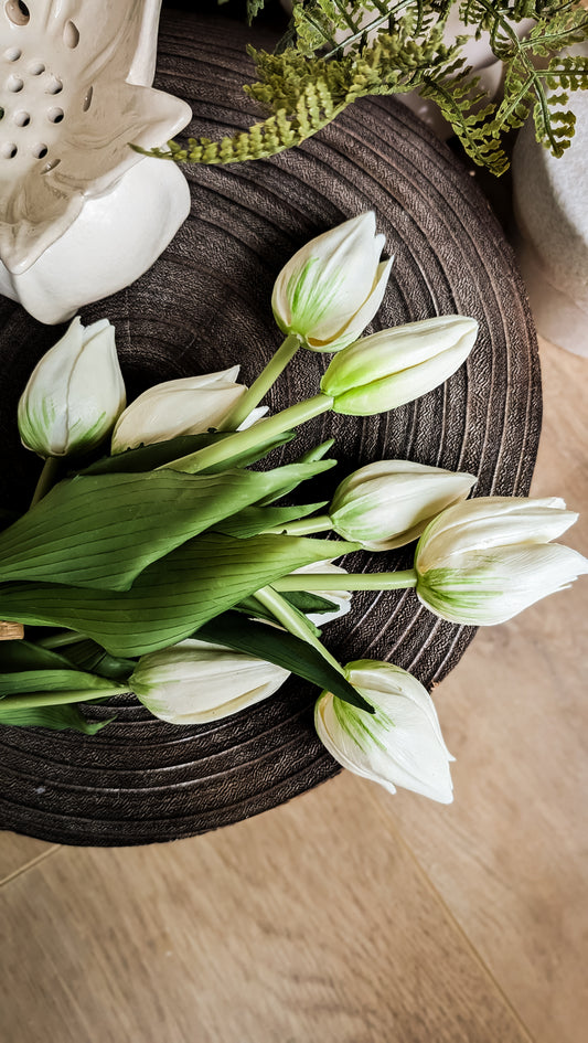 Mini Wild Tulip Bundle