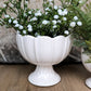 Meryl Compote