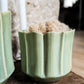 Everleaf Pot