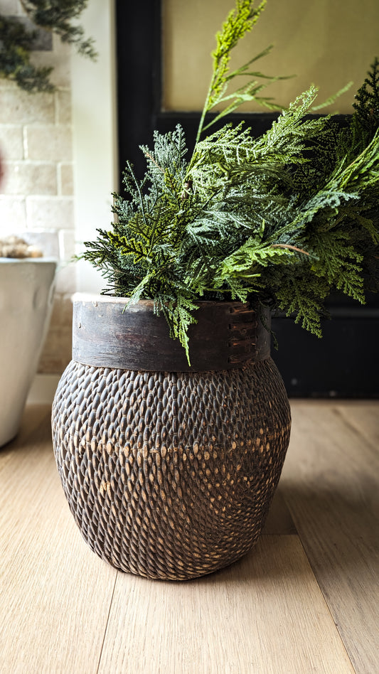 Northern White Cedar Spray