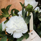Full Bloom Peony Bush, White