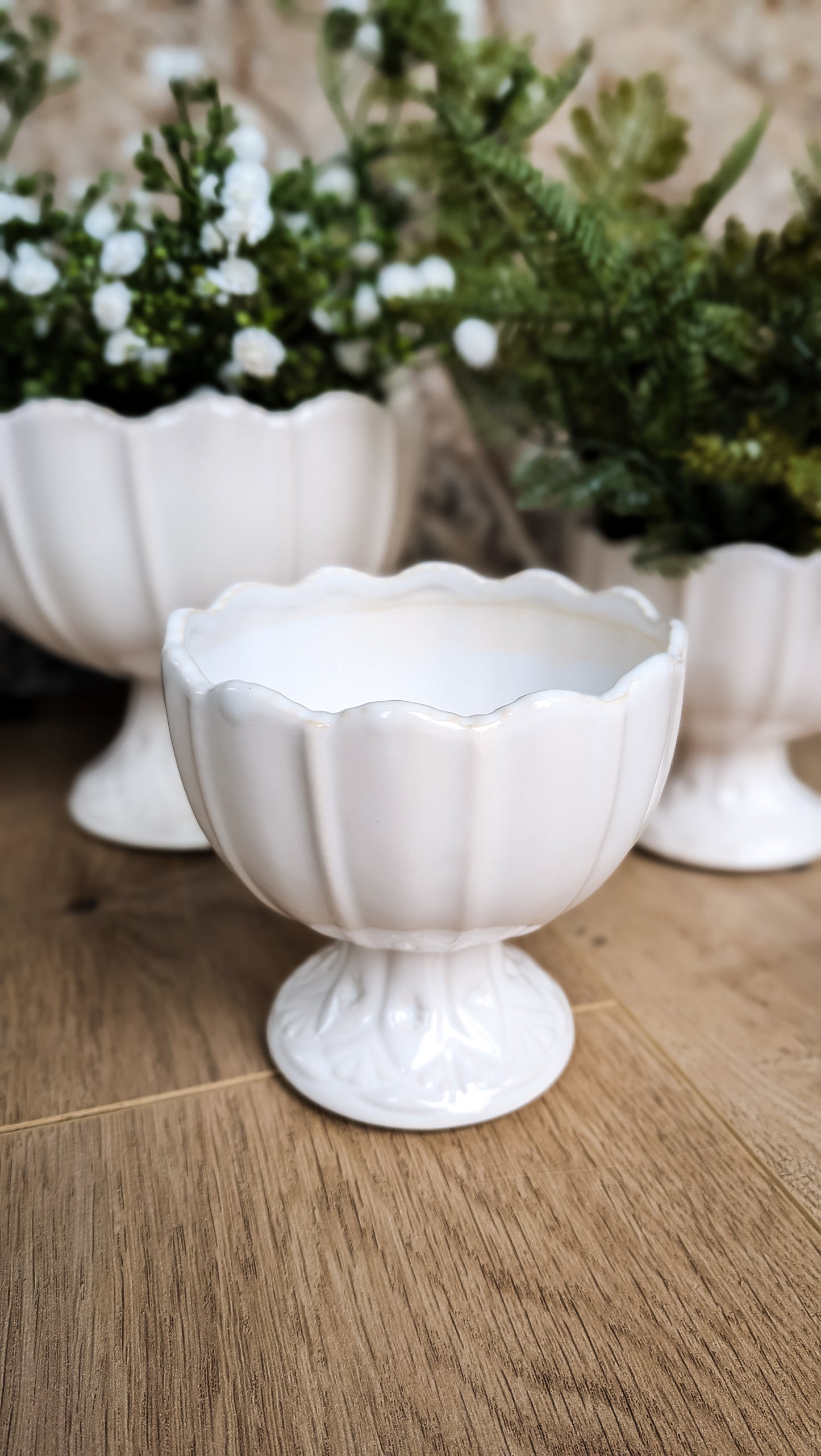 Meryl Compote