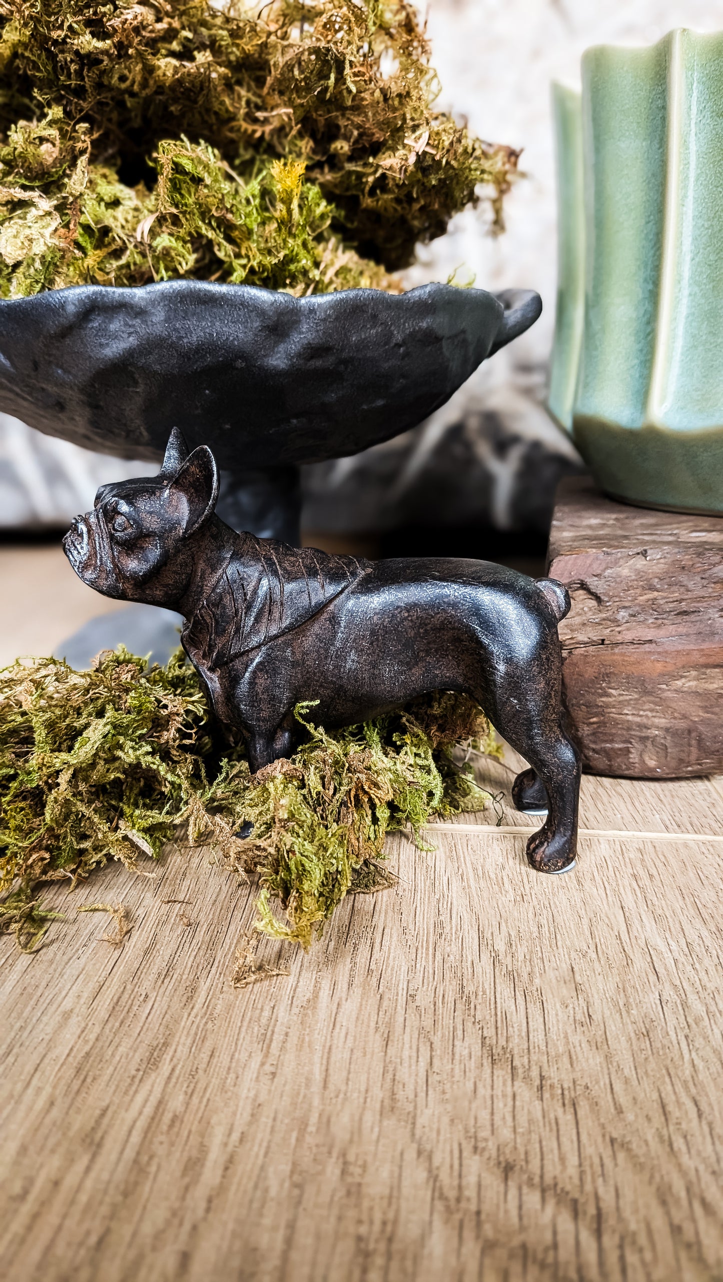 French Bulldog Stature