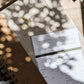 Dandelion Herbarium Journal • Mushroom Cream