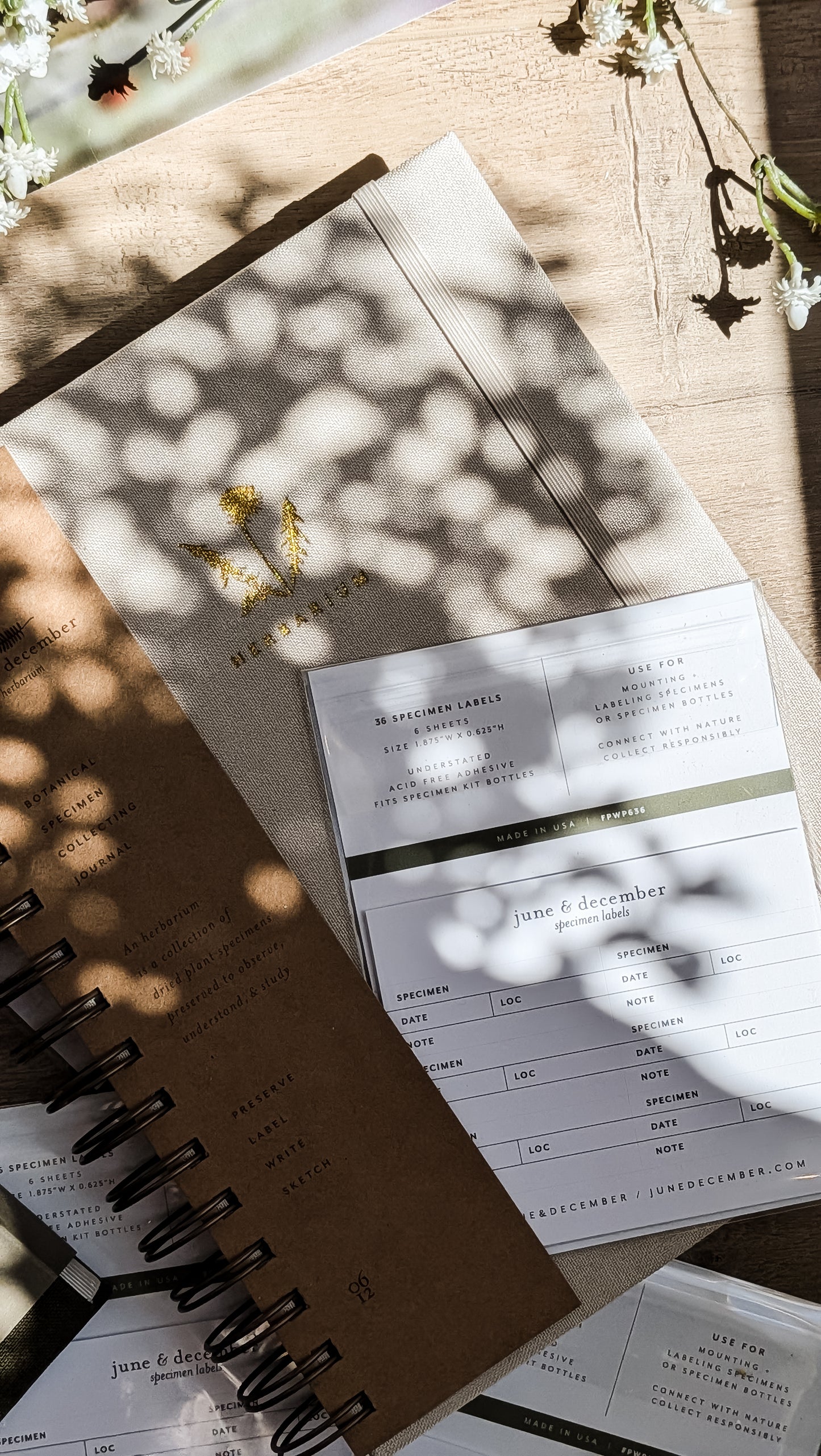 Dandelion Herbarium Journal • Mushroom Cream