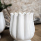 Tulipa Compote