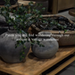 Hauer Market Shopping Event *New* October 22