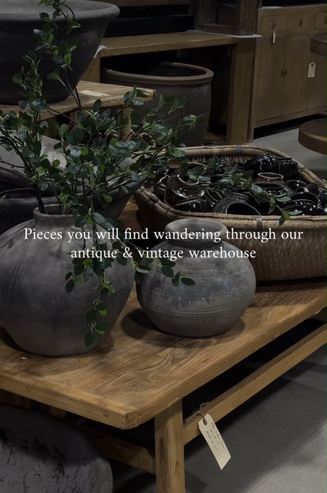 Hauer Market Shopping Event *New* October 22