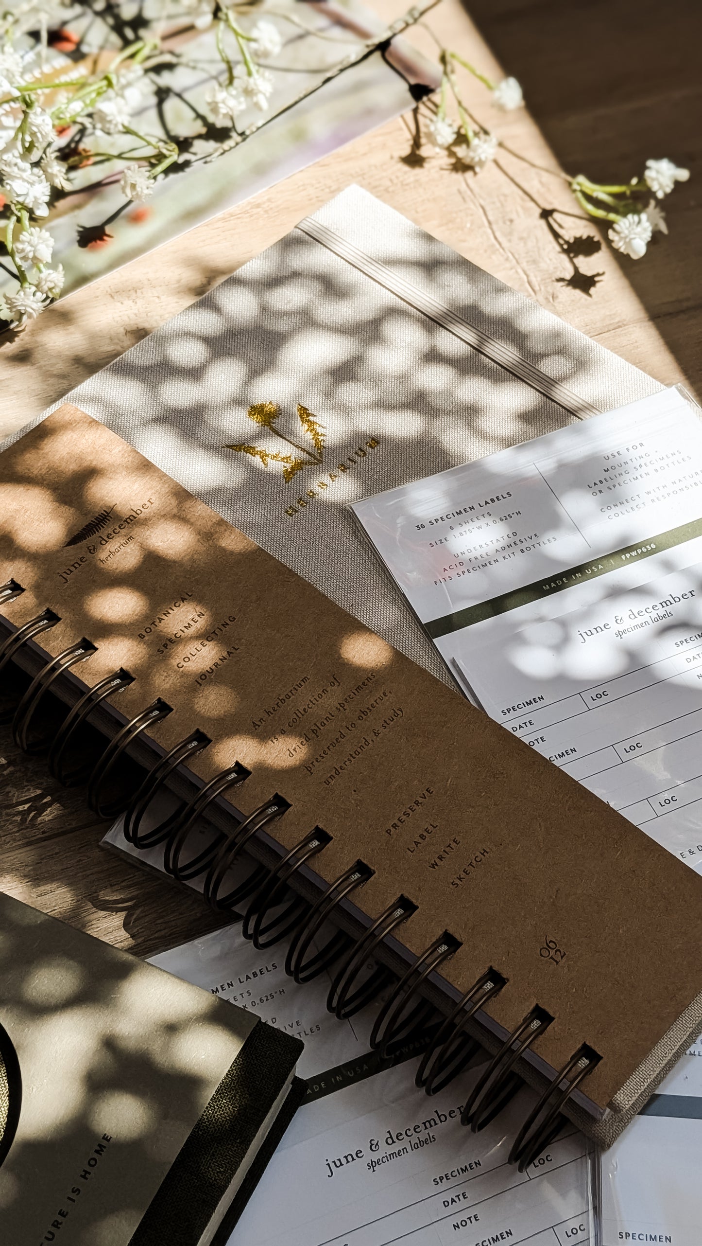Dandelion Herbarium Journal • Mushroom Cream