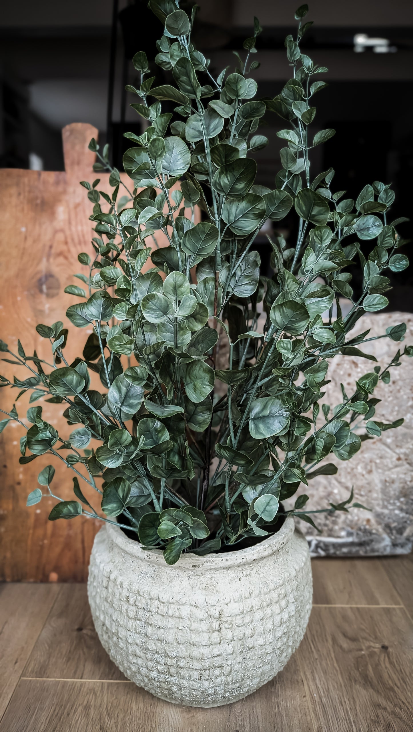 Eucalyptus Bush