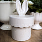 Bunnytop Canister
