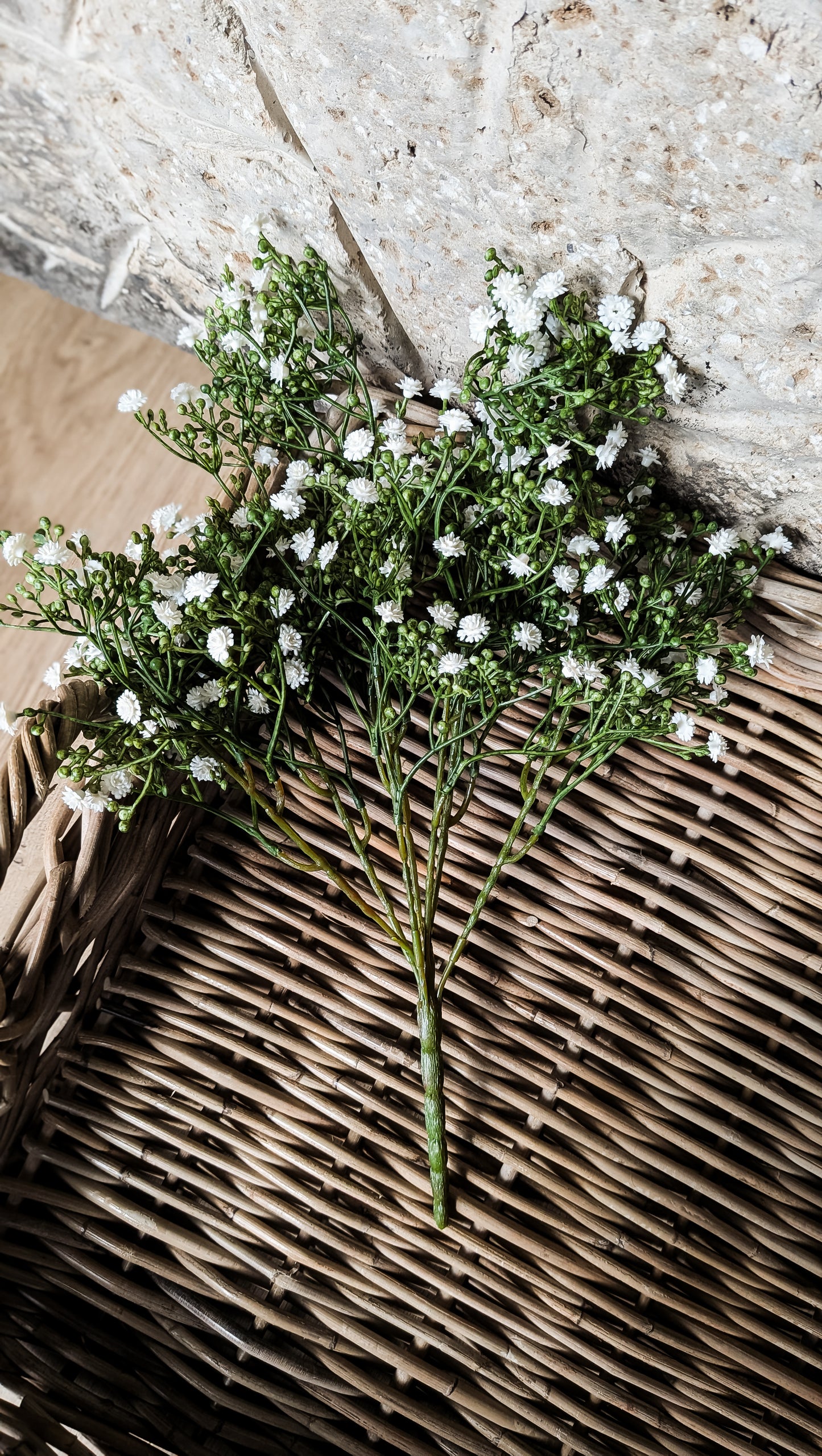 Gypsophila Bush