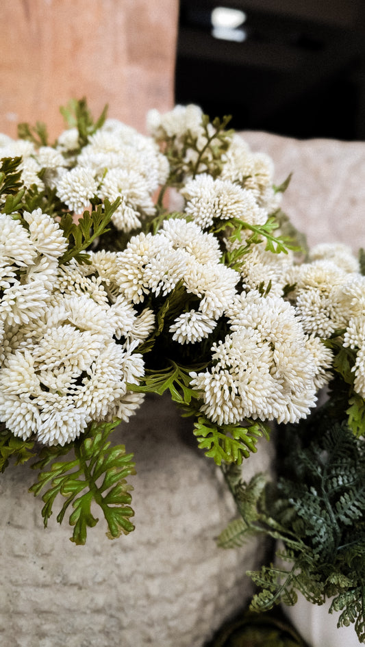 Fresh White Sedum Cluster