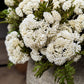 Fresh White Sedum Cluster