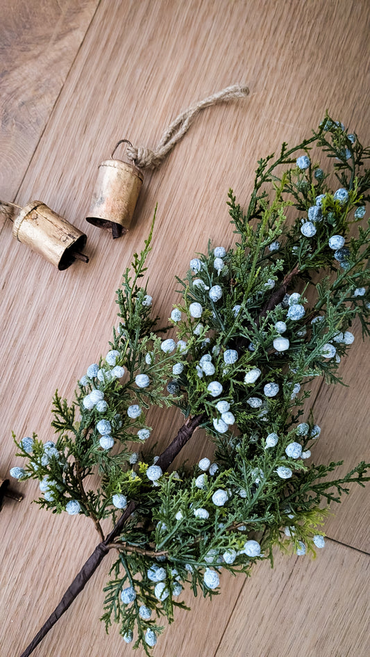 Blue Berried Juniper Spray