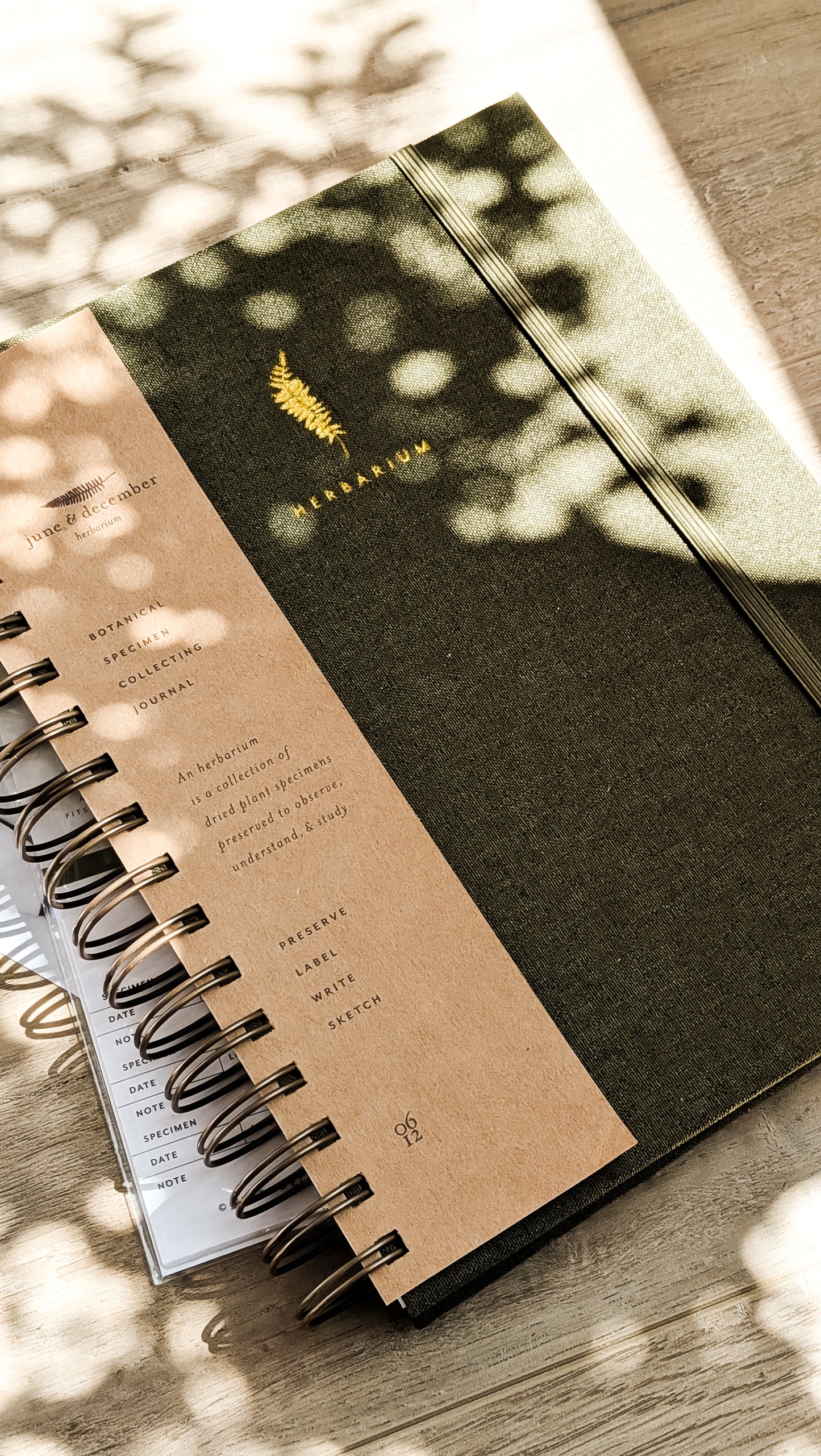 Fern Herbarium Journal • Forest Green