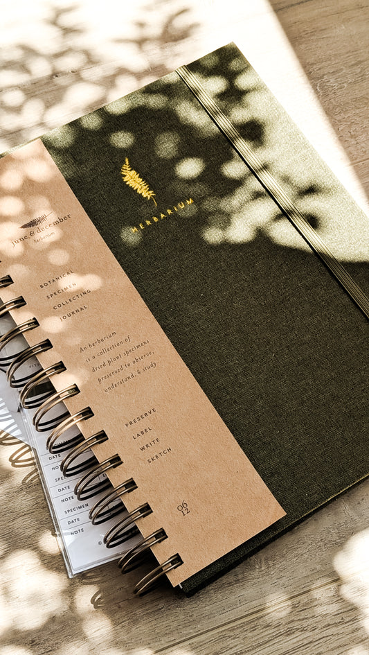 Fern Herbarium Journal • Forest Green