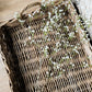 Wild Baby's Breath Stem