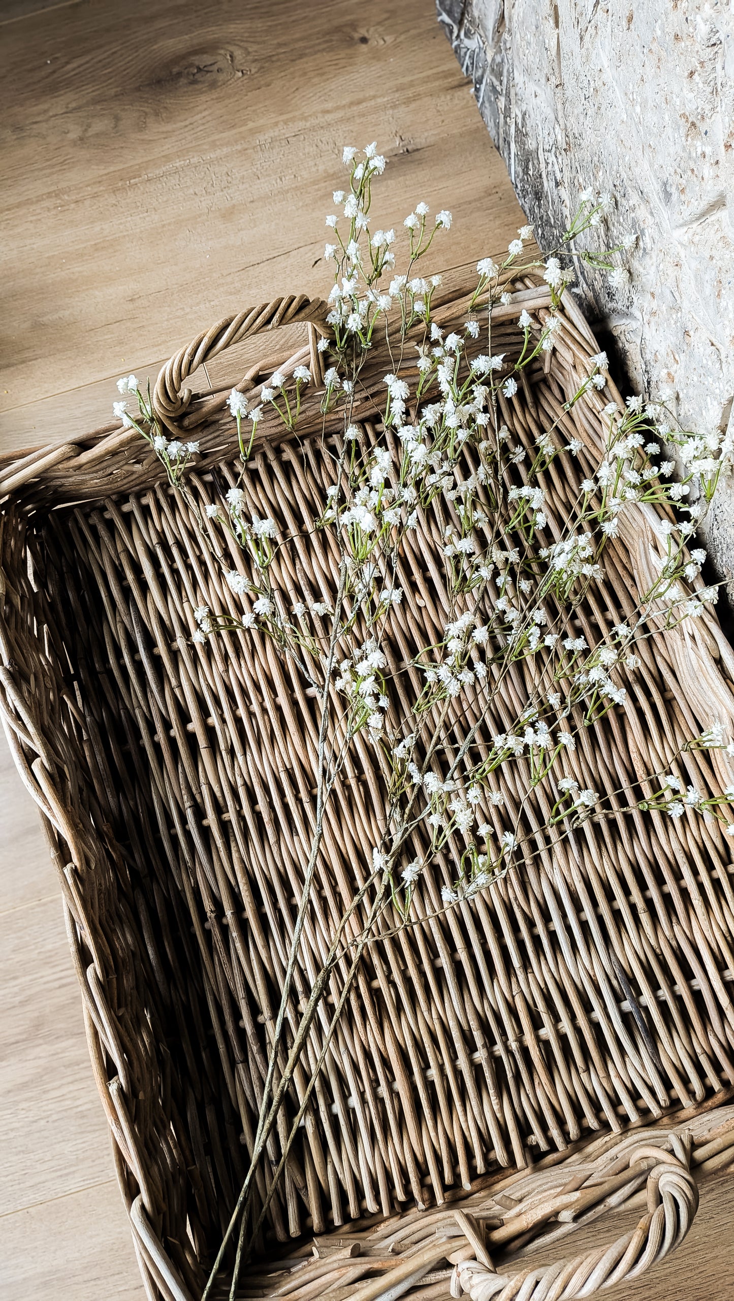 Wild Baby's Breath Stem