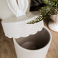 Bunnytop Canister