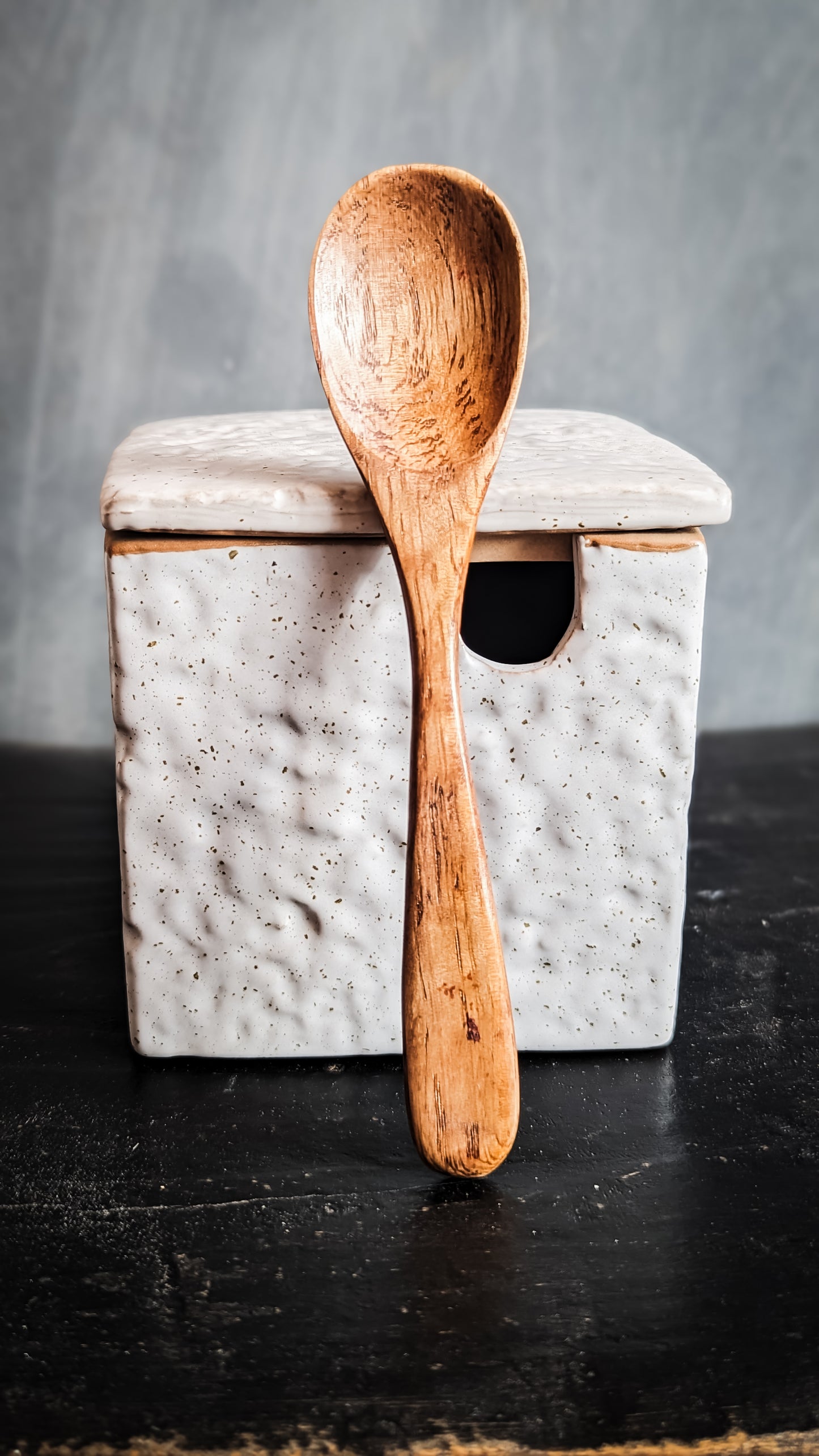 Stoneware Salt Jar w/ Spoon