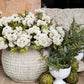 Fresh White Sedum Cluster