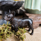 French Bulldog Stature