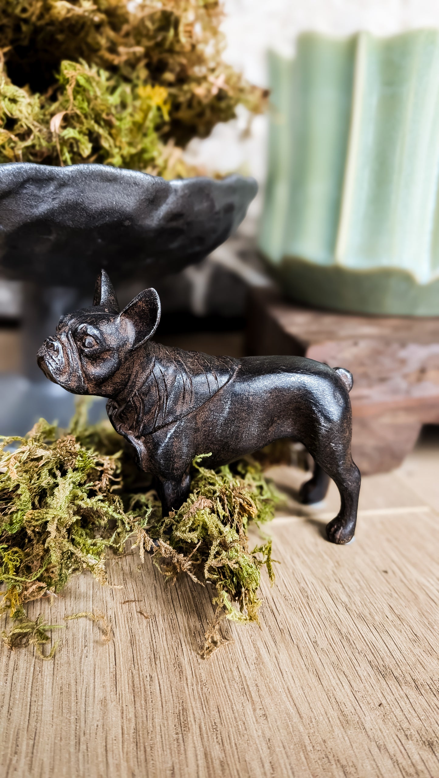 French Bulldog Stature