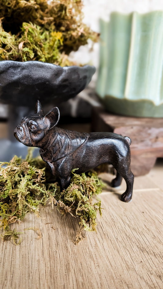 French Bulldog Stature