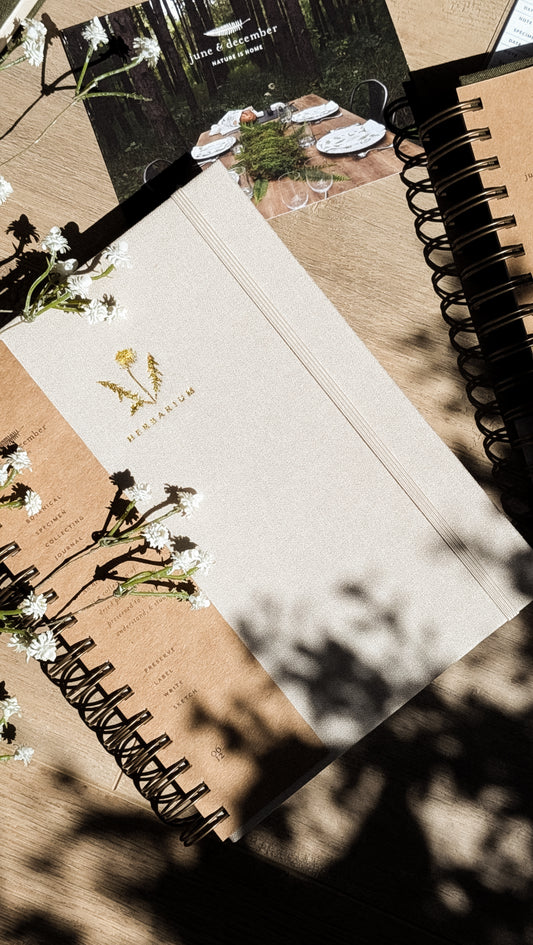 Dandelion Herbarium Journal • Mushroom Cream