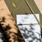 Fern Herbarium Journal • Forest Green
